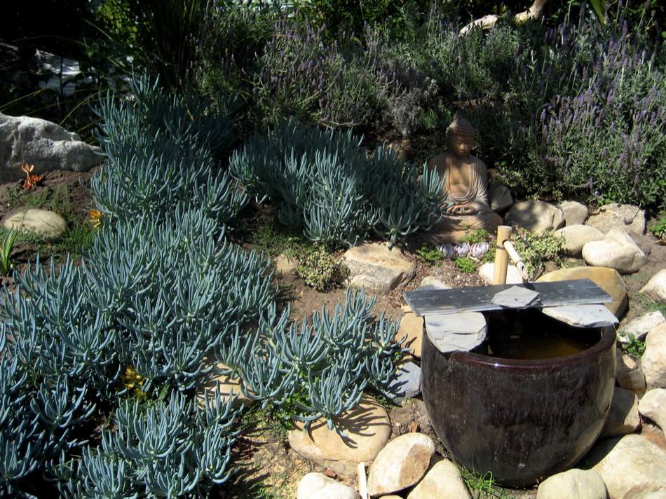 A drought-tolerant front yard with native plants and gravel